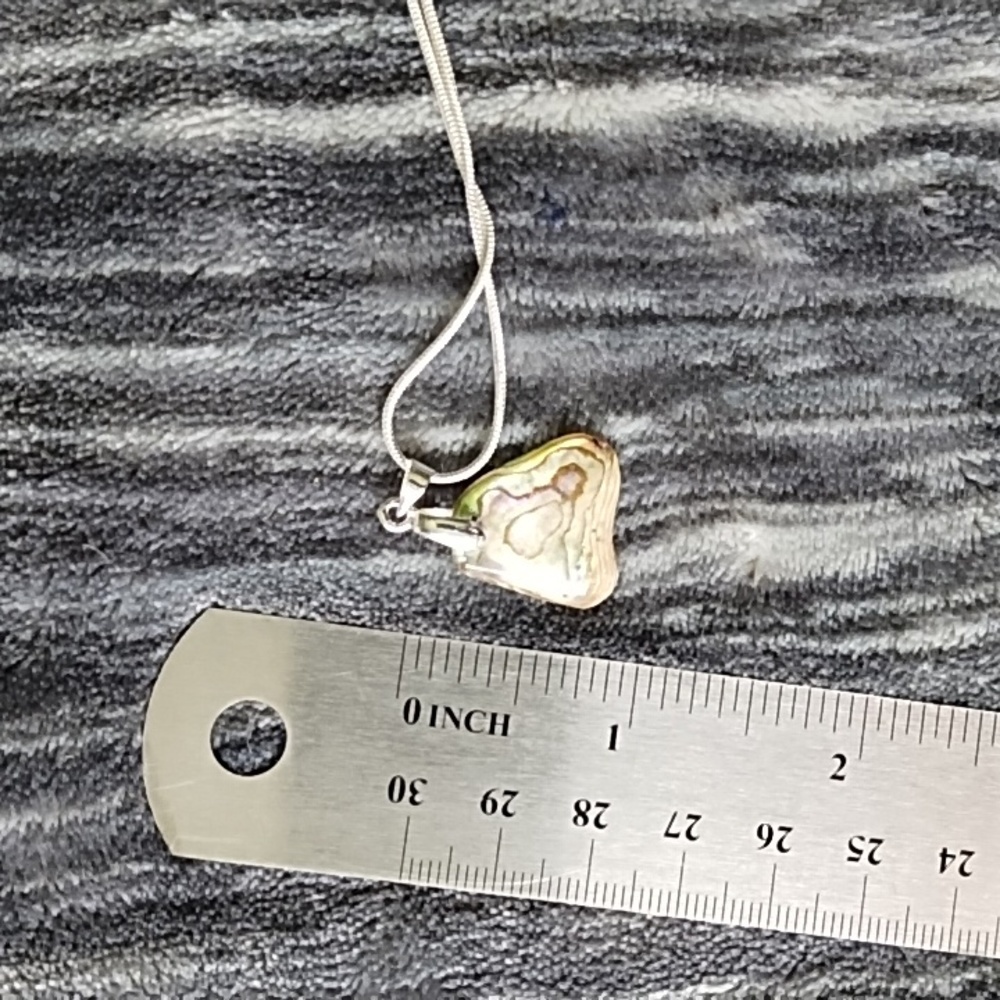 Abalone pendant on silver tone chain